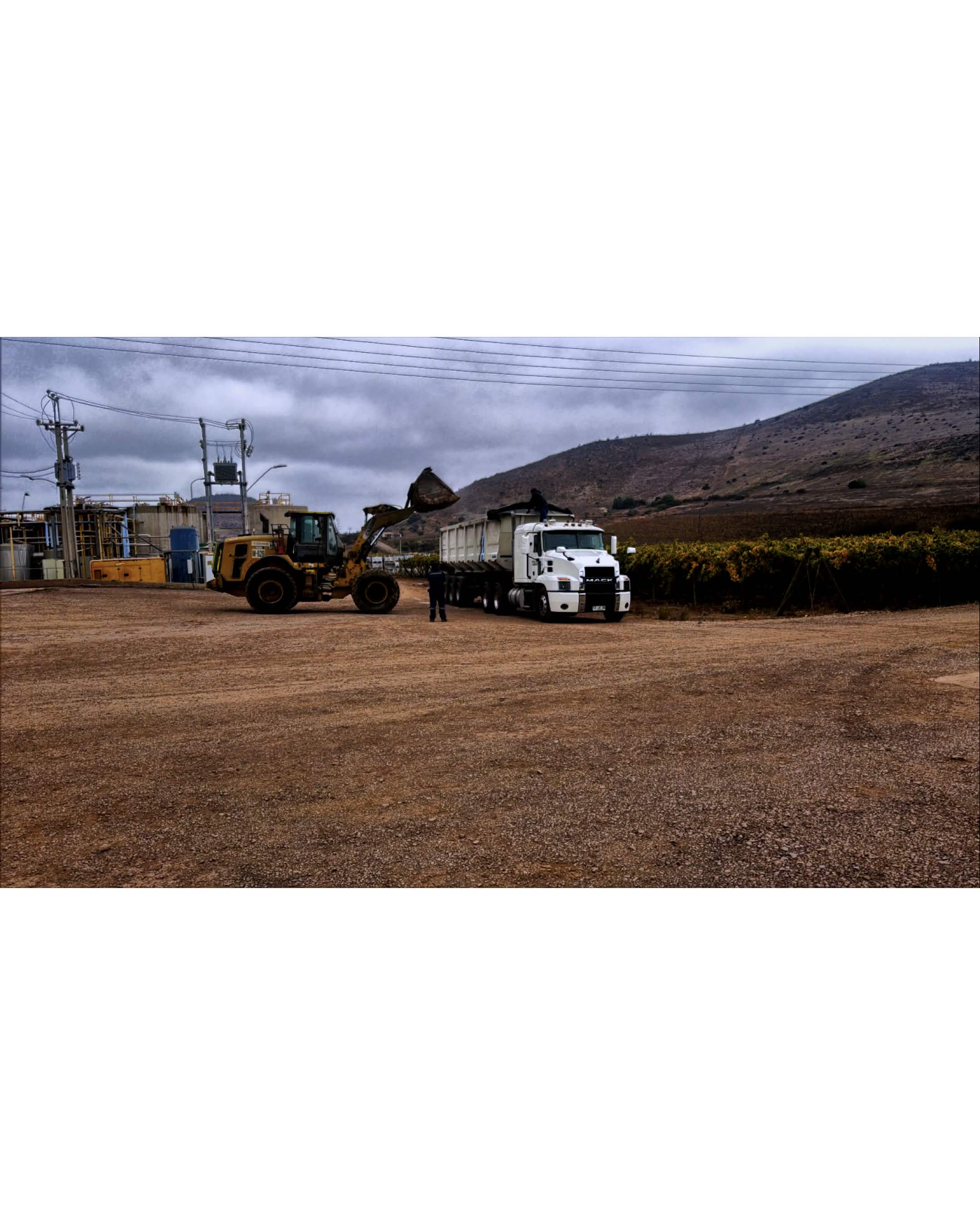 Cargador frontal CAT 966 para arriendo en Ovalle